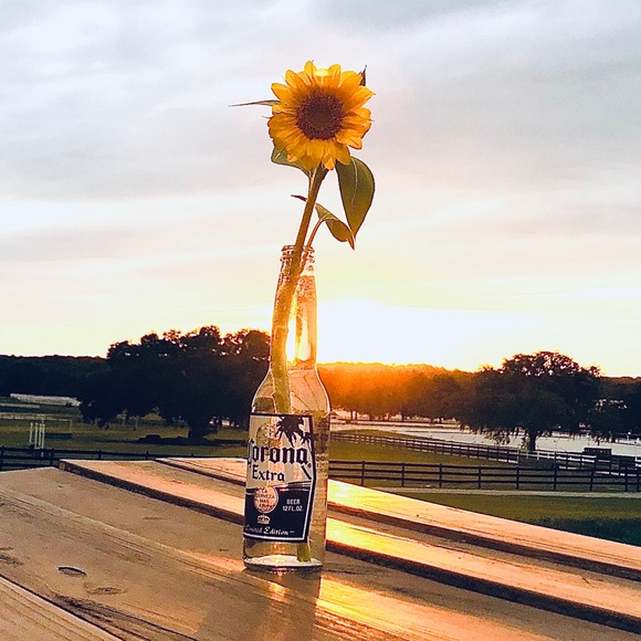 WELCOME TO MY CLOSET! - Picture 2 of 2